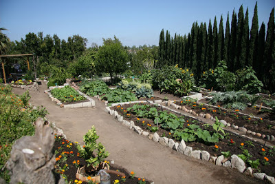 Walking Off a Craving